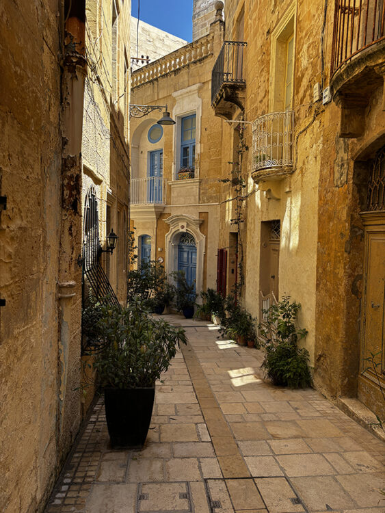 Romantische Gasse in Valletta. Die gut erhaltenen alten Häuser sind aus hellem Stein gebaut. Einige Tür- und Fensterrahmen sind hellblau gestrichen. Grüne Pflanzen säumen die Gasse.
